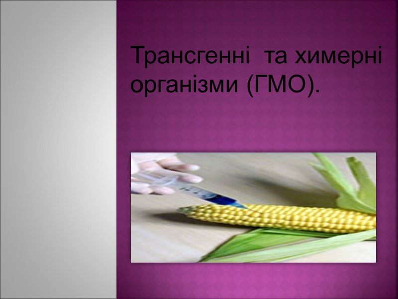 Трансгенні  та химерні організми (ГМО).